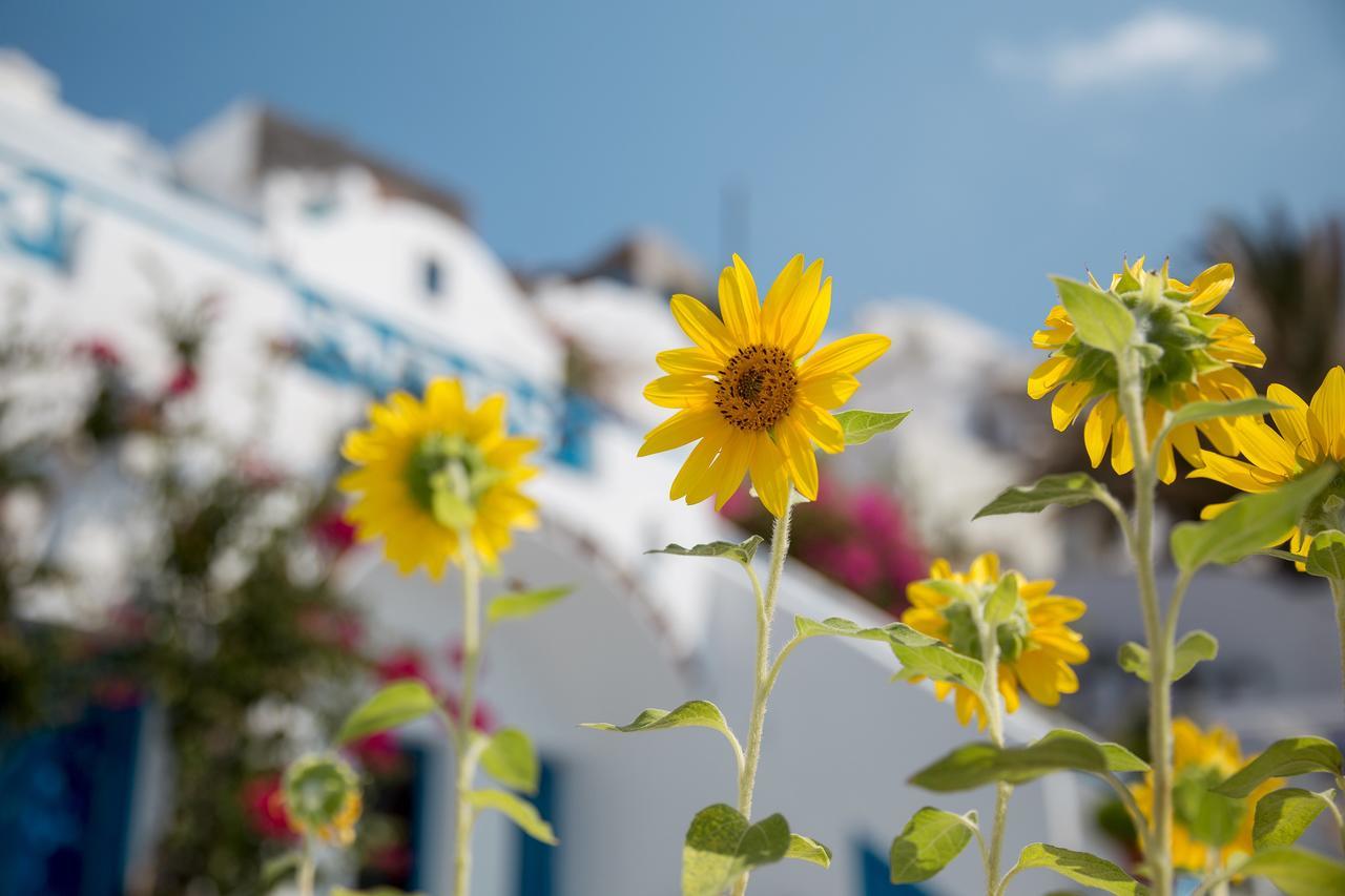 Apartmán Annio Santorini Imerovigli  Exteriér fotografie
